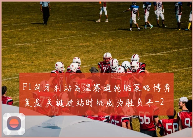 F1匈牙利站高温赛道轮胎策略博弈复盘 关键进站时机成为胜负手